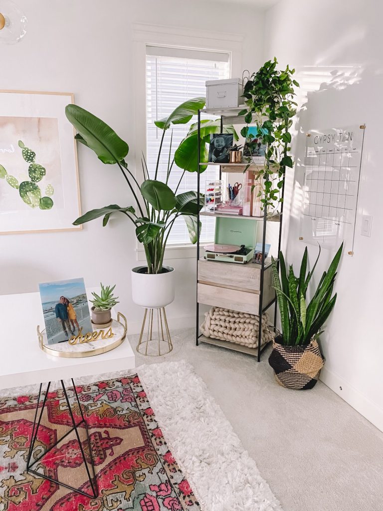 potted plants in boho office decor