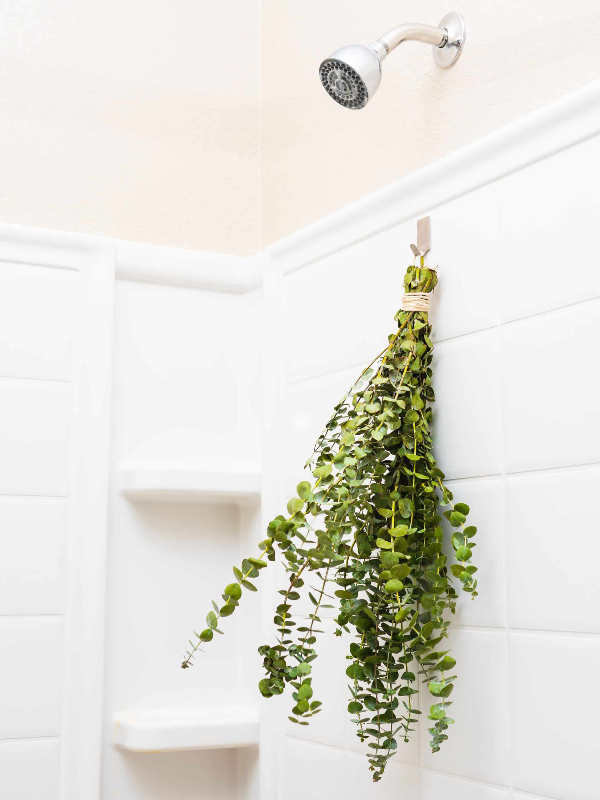 Eucalyptus Shower Bunch- Bathroom Glam Decor