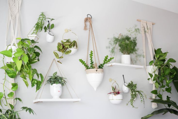 Plant-Based Gallery Wall