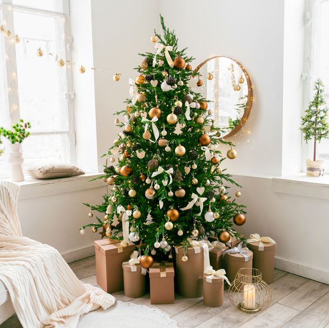 Choose The Perfect Christmas Tree