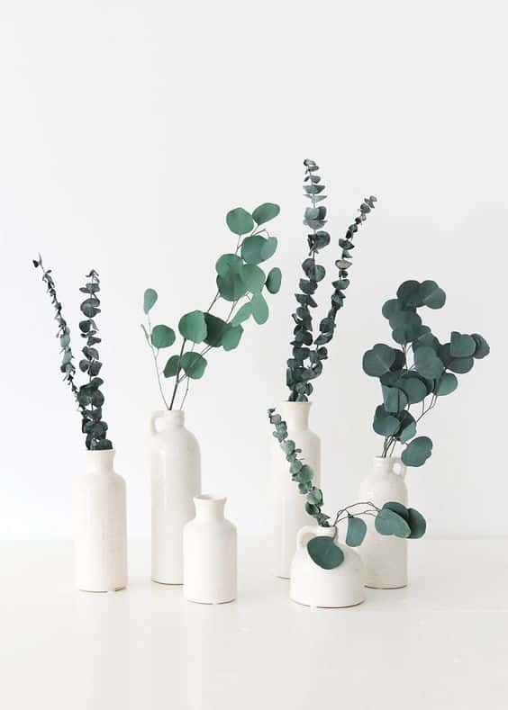 Adding Visual Interest Greenery as a Focal Point in Minimal Decors