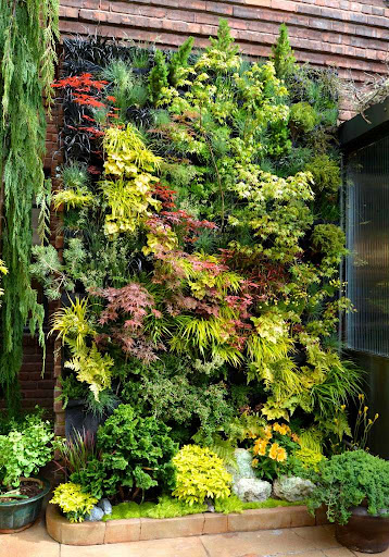 Create an Outdoor Living Wall of Leaves