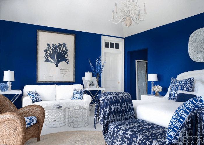 Royal Blue with White for your Living Room
