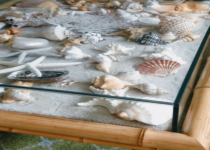 A Table of Shells