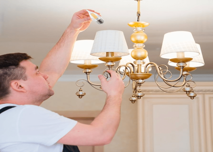 Install Bulbs