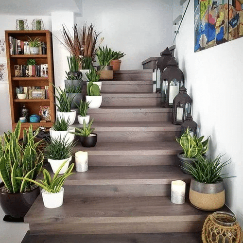 Pots only Staircases 