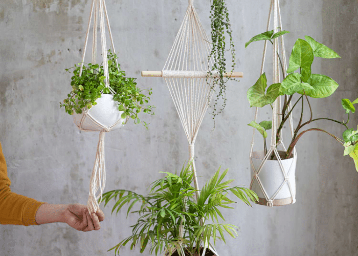 Vertically Hanging Planters