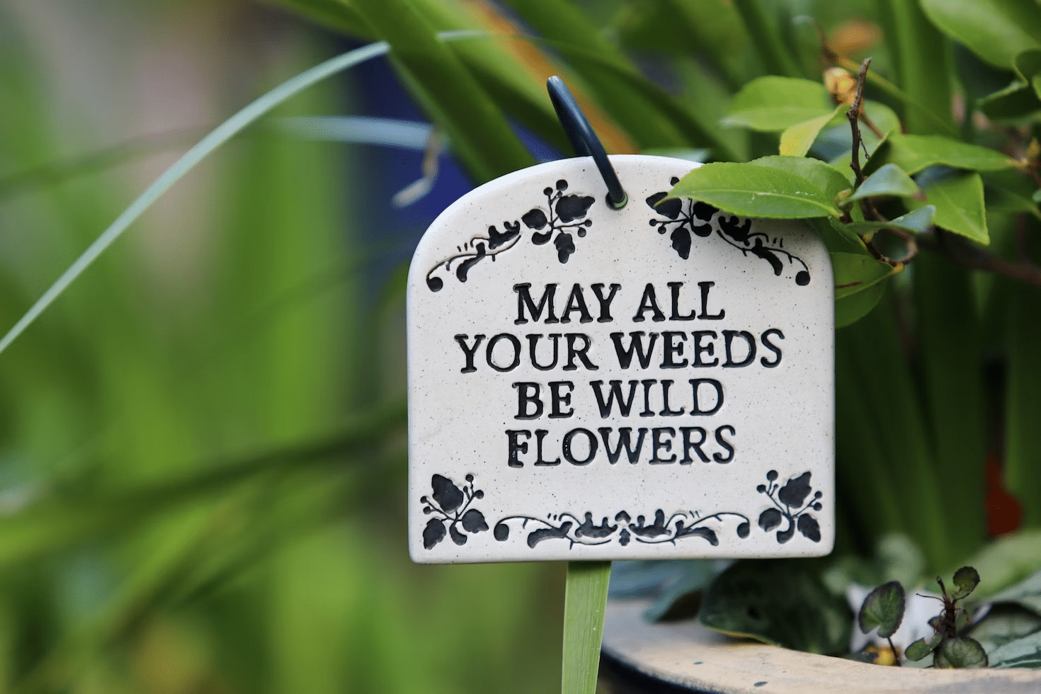 Enhance Your Home Garden with Unique Personalized Signs