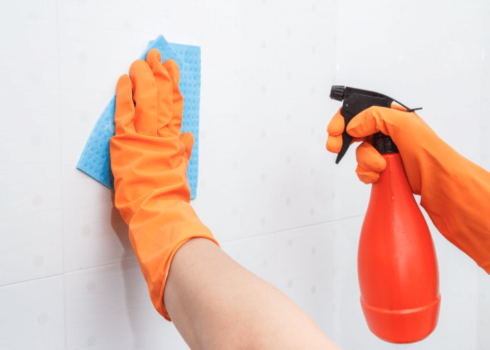 Regular Cleaning of Your Walls