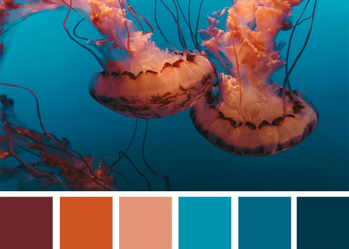  Set the Sea-Inspired Colour Palette