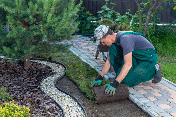 Why Professional Landscape Services Are a Smart Investment for Your Home