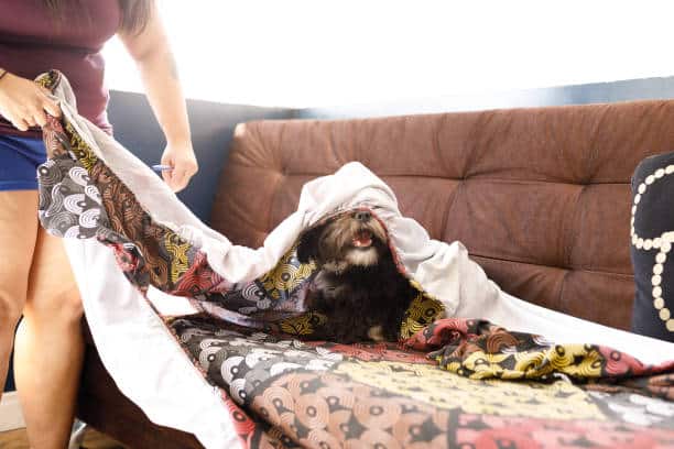 A woman cuddles a dog under a blanket