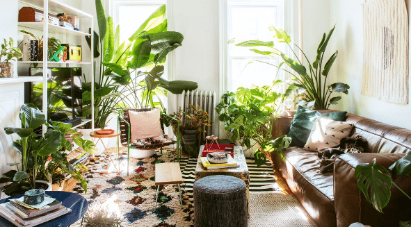 A cozy living room filled with lush plants and stylish furniture