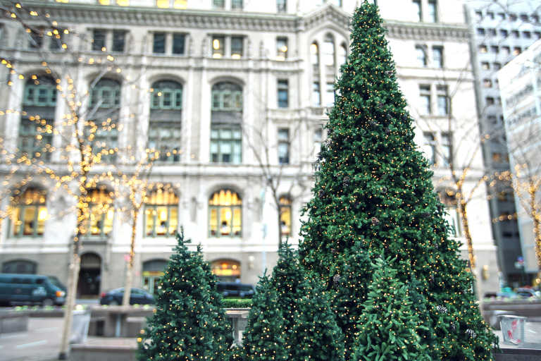 What Are the Historical Origins of The Christmas Tree?