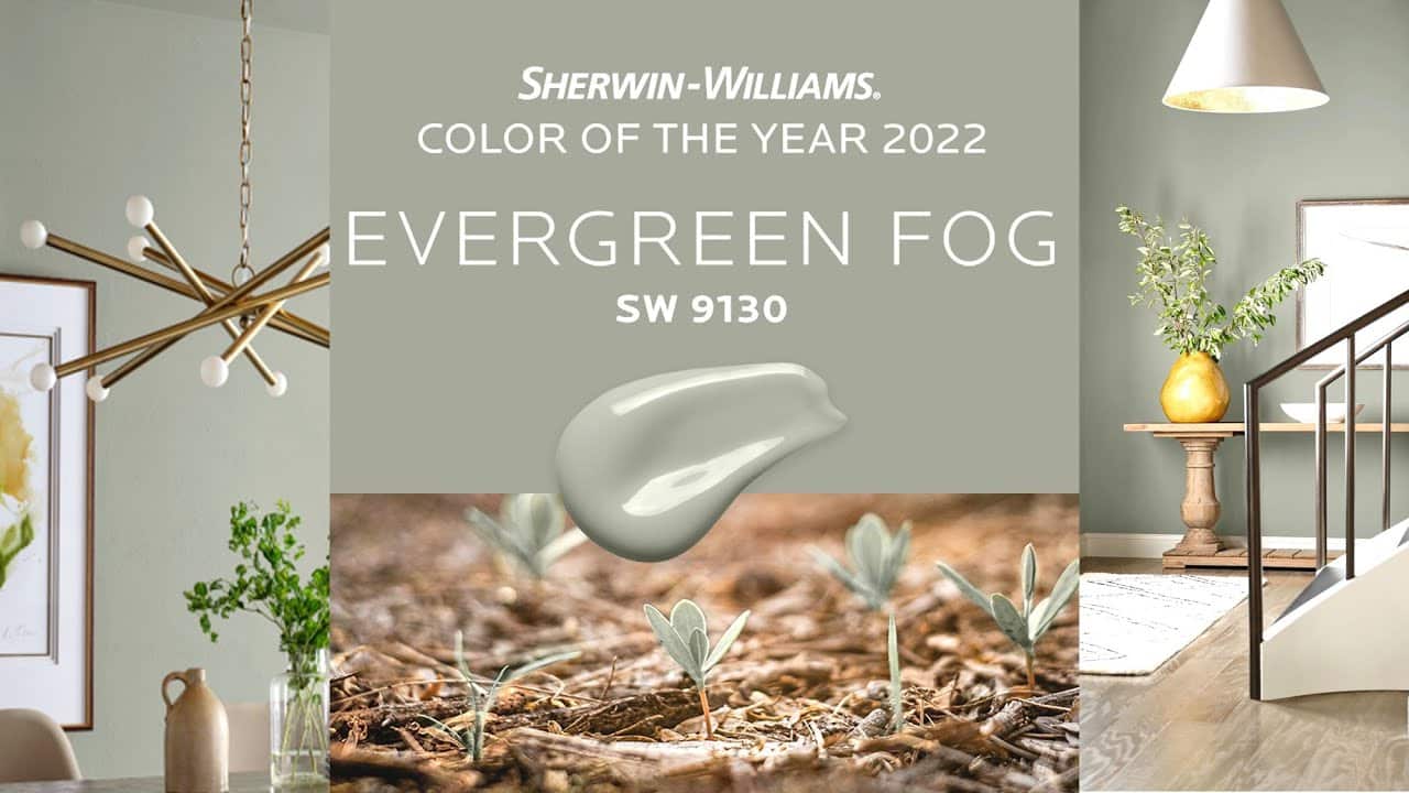 Evergreen fog with complementary colors: muted blues, soft grays, and earthy greens