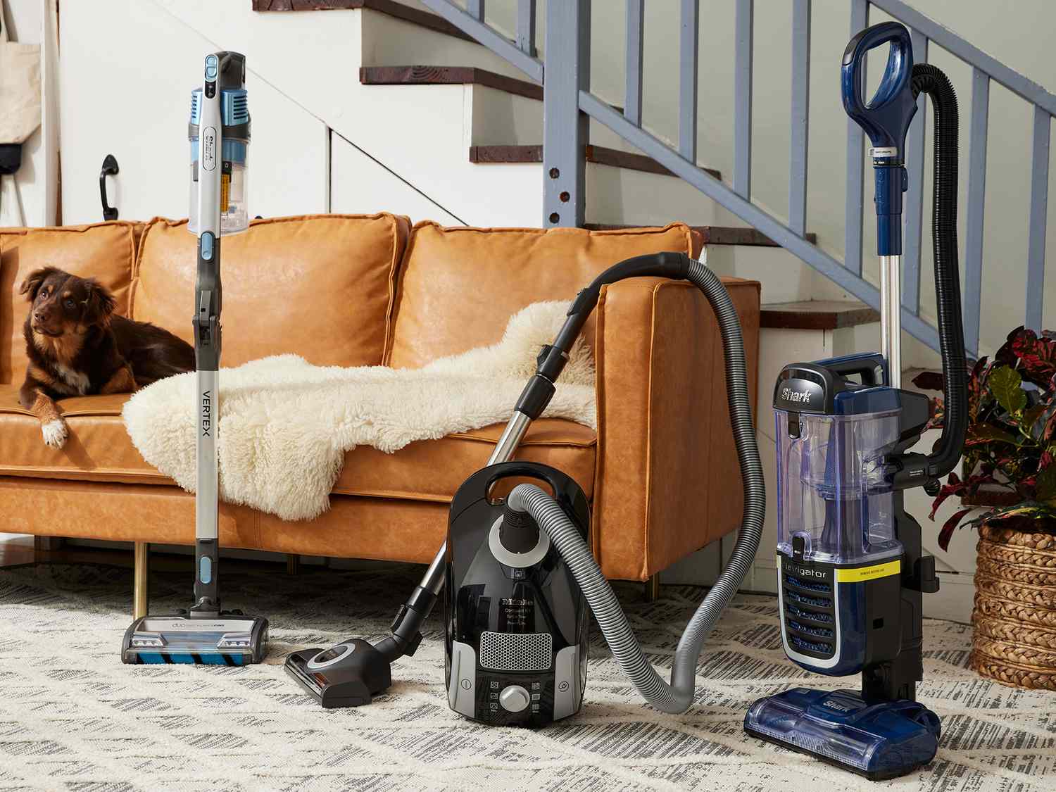 What's the Best Vacuum for Sofas and Beds?