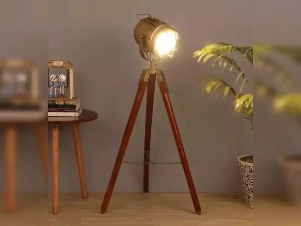 Spotlight Floor Lamp & Pots of Plants-