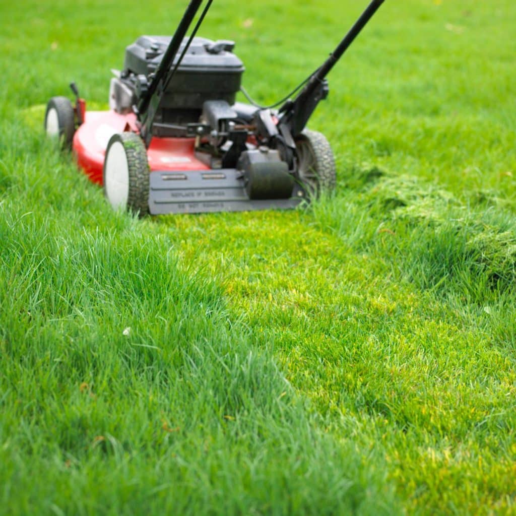 The Power of Proper Mowing