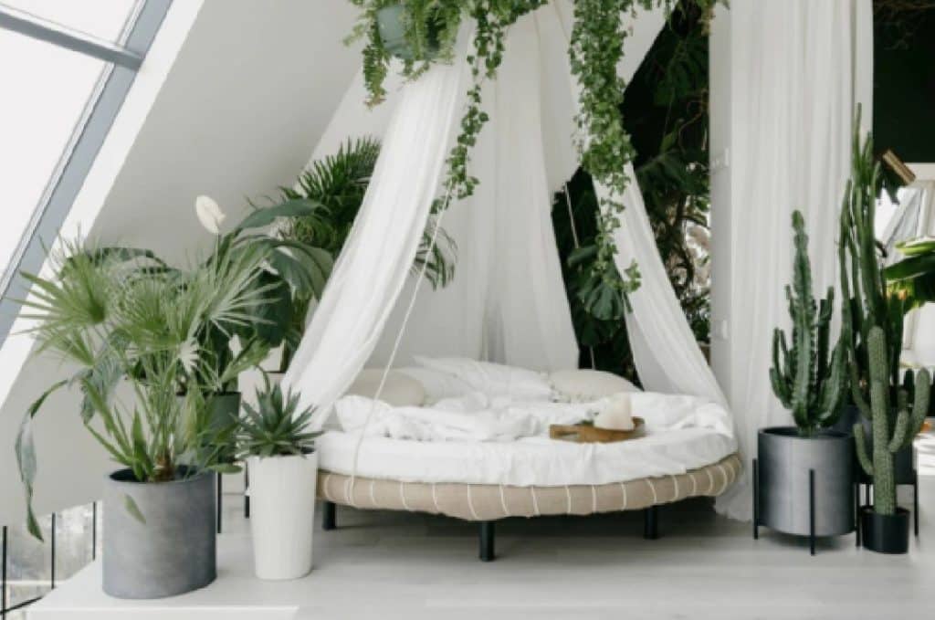 Bring Nature Into Your Space - Ideas for Incorporating Plants Into Your Sleep Space to Create a Restful Atmosphere