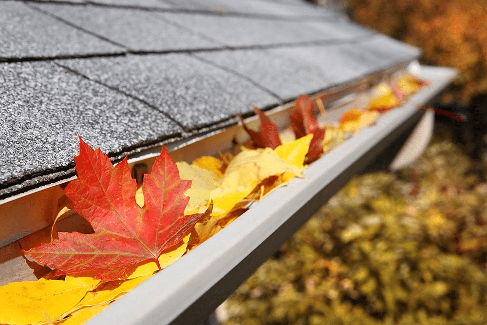 Navigating Gutter Maintenance Challenges for Homeowners