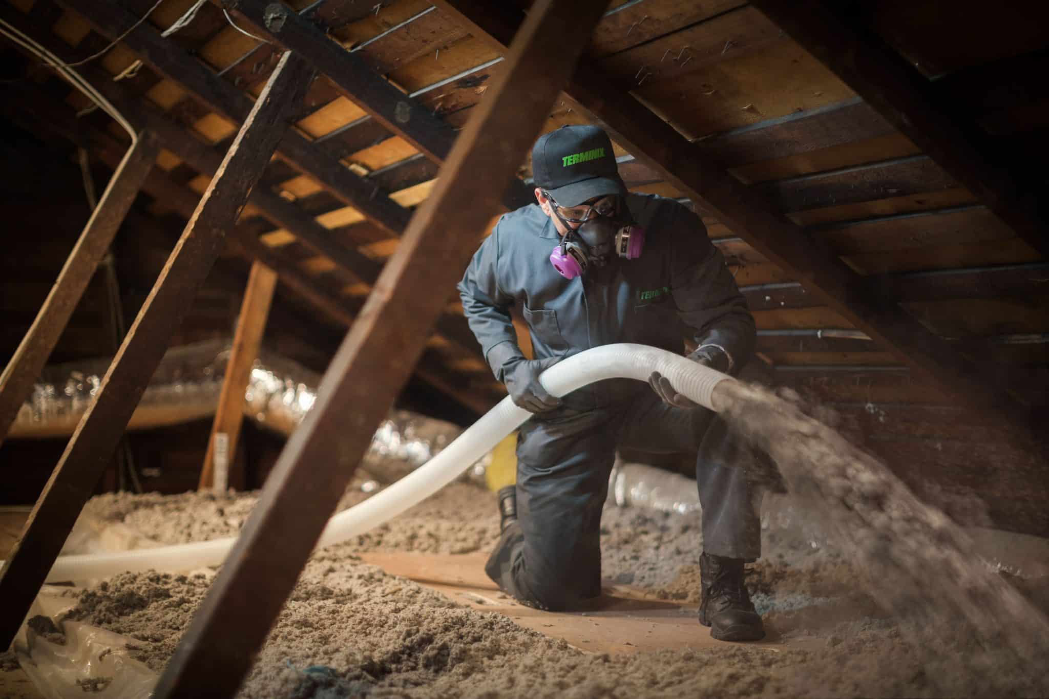 10 Ways Professional Insulation Contractors Can Save You Money
