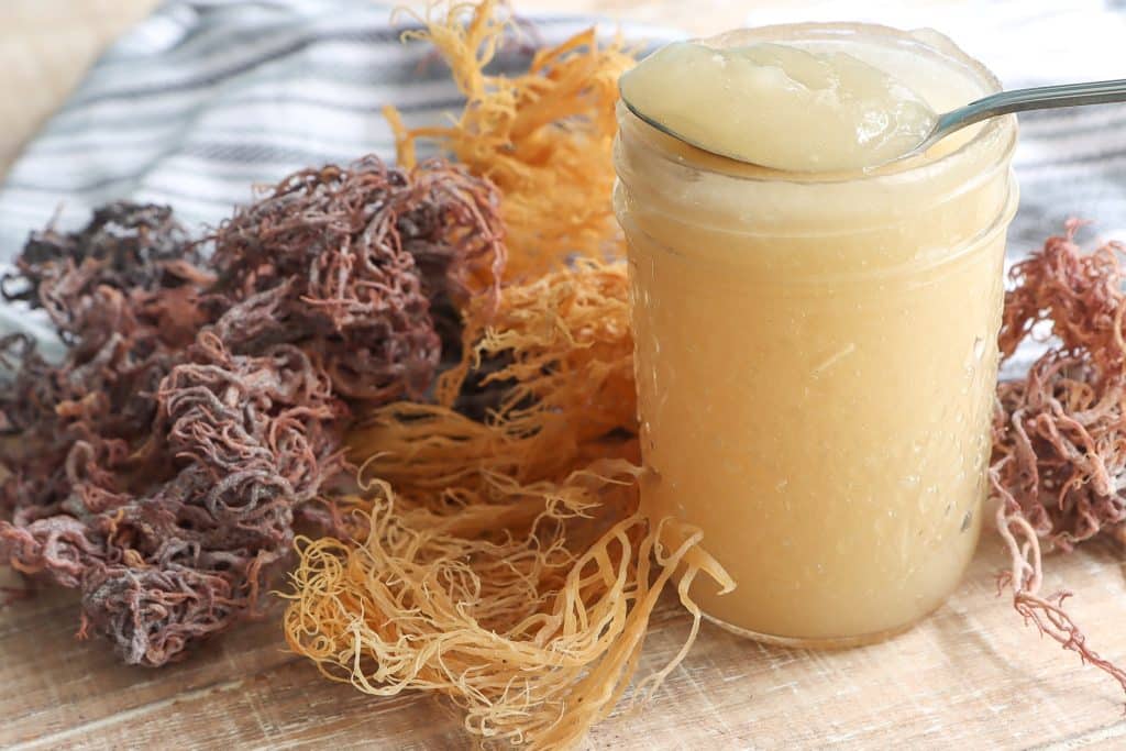 Cooking with Sea Moss: Ideas and Recipes