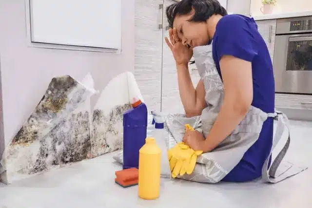 How To Disinfect Belongings After Water Damage