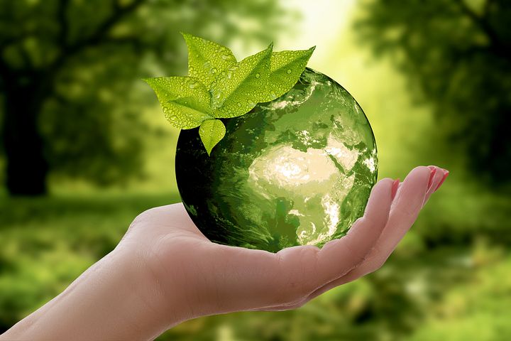 The Green Advantage: Why Sustainability Matters