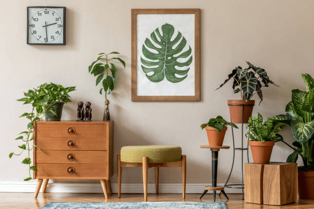 Botanical Bliss: The Impact of Plants on Modern Home Design