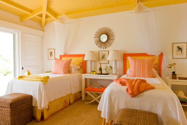 Bright and Energizing- Vibrant Citrus Hues