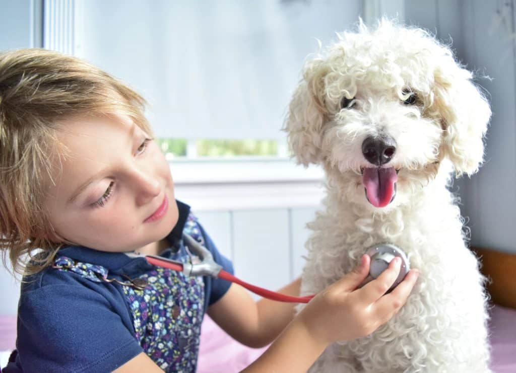 Child and Pet Safety