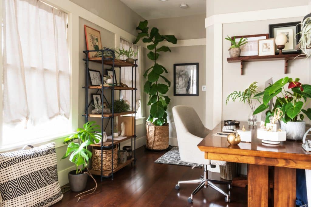 Use Plants and Greenery for a Fresh Atmosphere