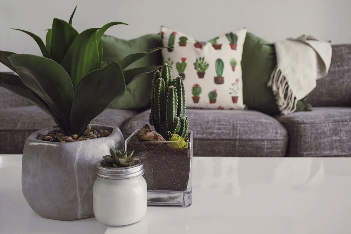 How to Transform Your Home Decor Without Breaking the Bank?