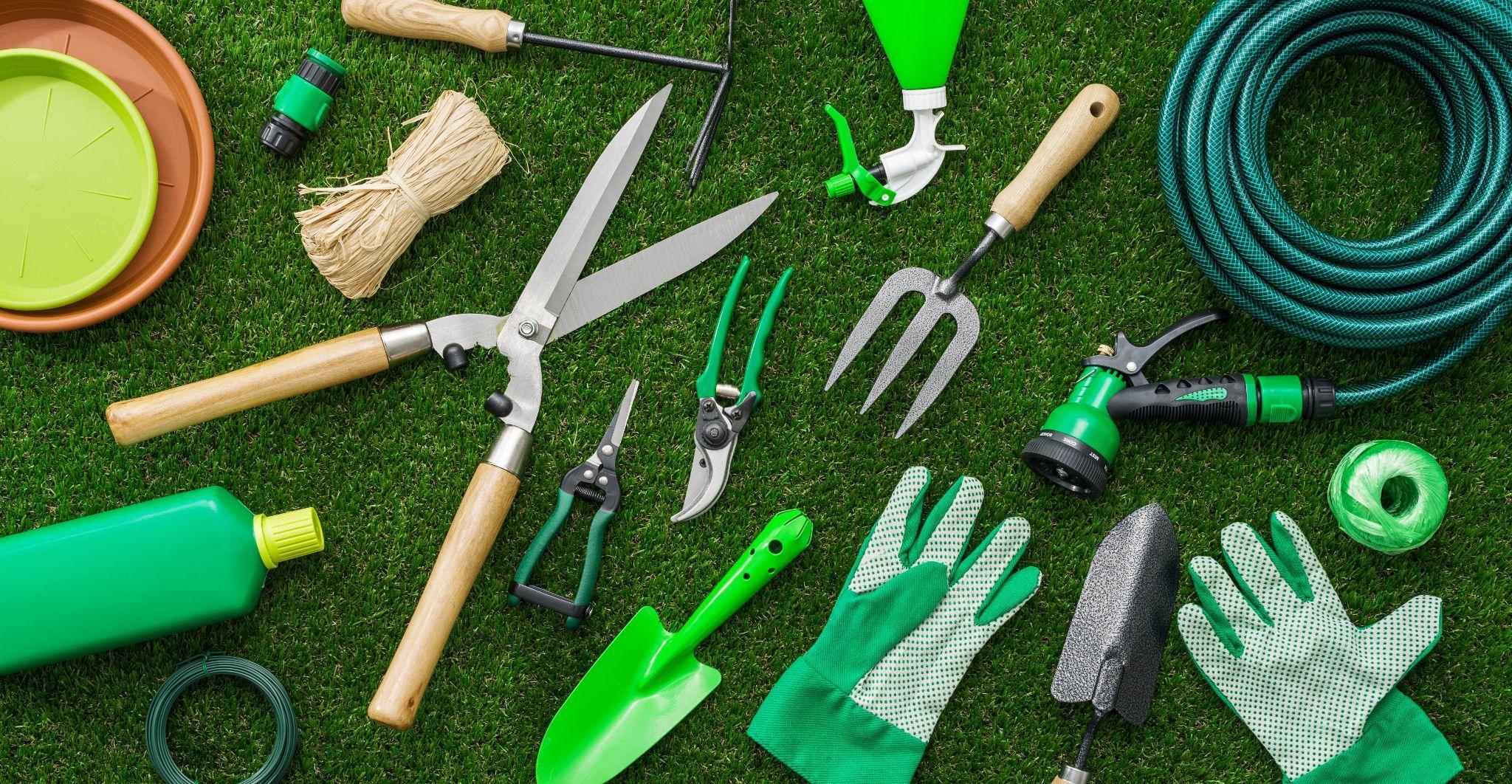 Invest in the Right Tools: A Gardener's Guide for Every Green Thumb